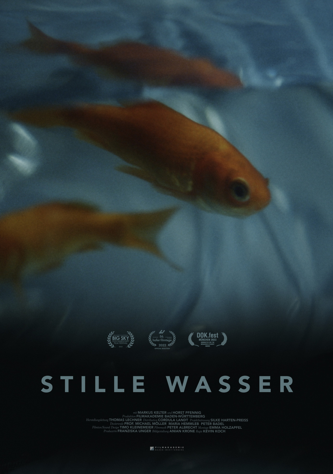 Stille Wasser filmaffisch