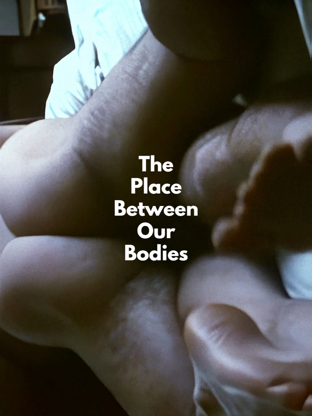 The Place Between Our Bodies filmaffisch