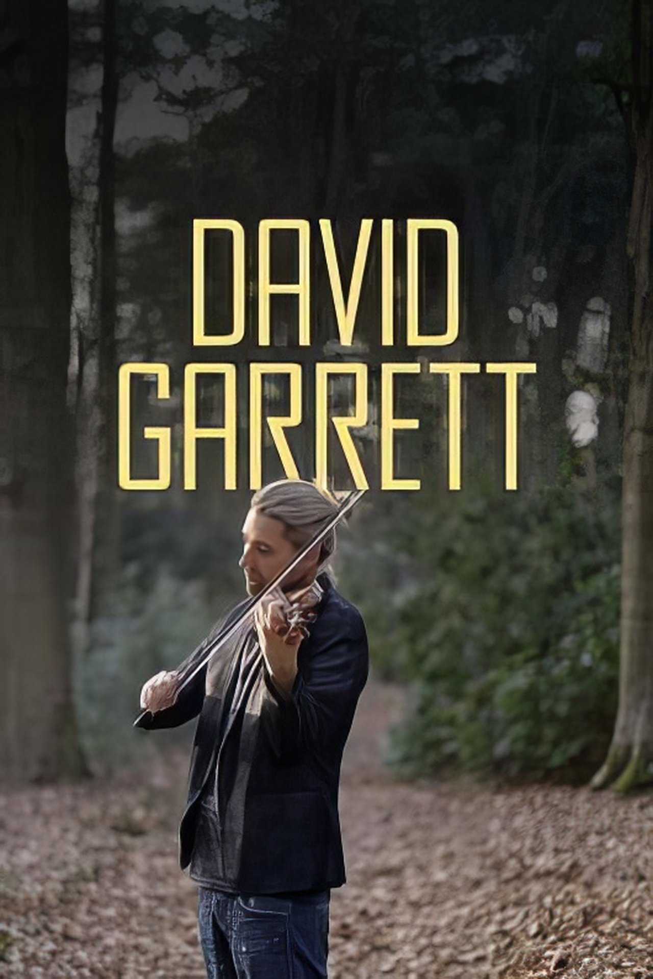 مشاهدة فيلم David Garrett - Ein Weltstar ganz privat مترجم بدون اعلانات - بوستر
