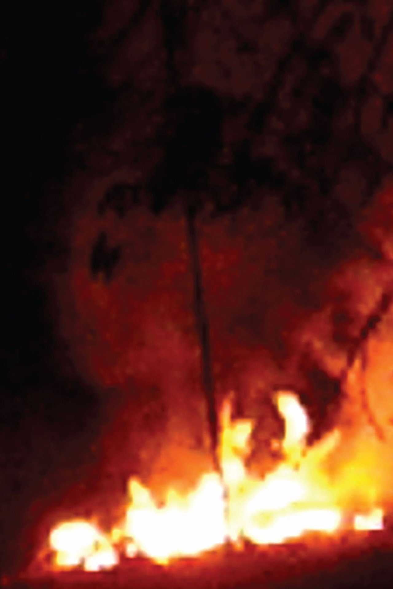 Every Flame Tree is a Burning Island Backdrop