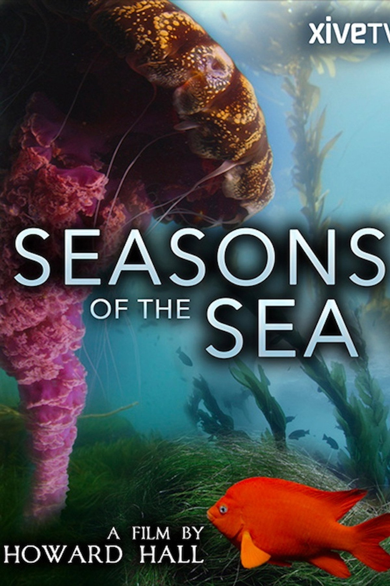 Seasons of the Sea: A Film by Howard Hall filmaffisch