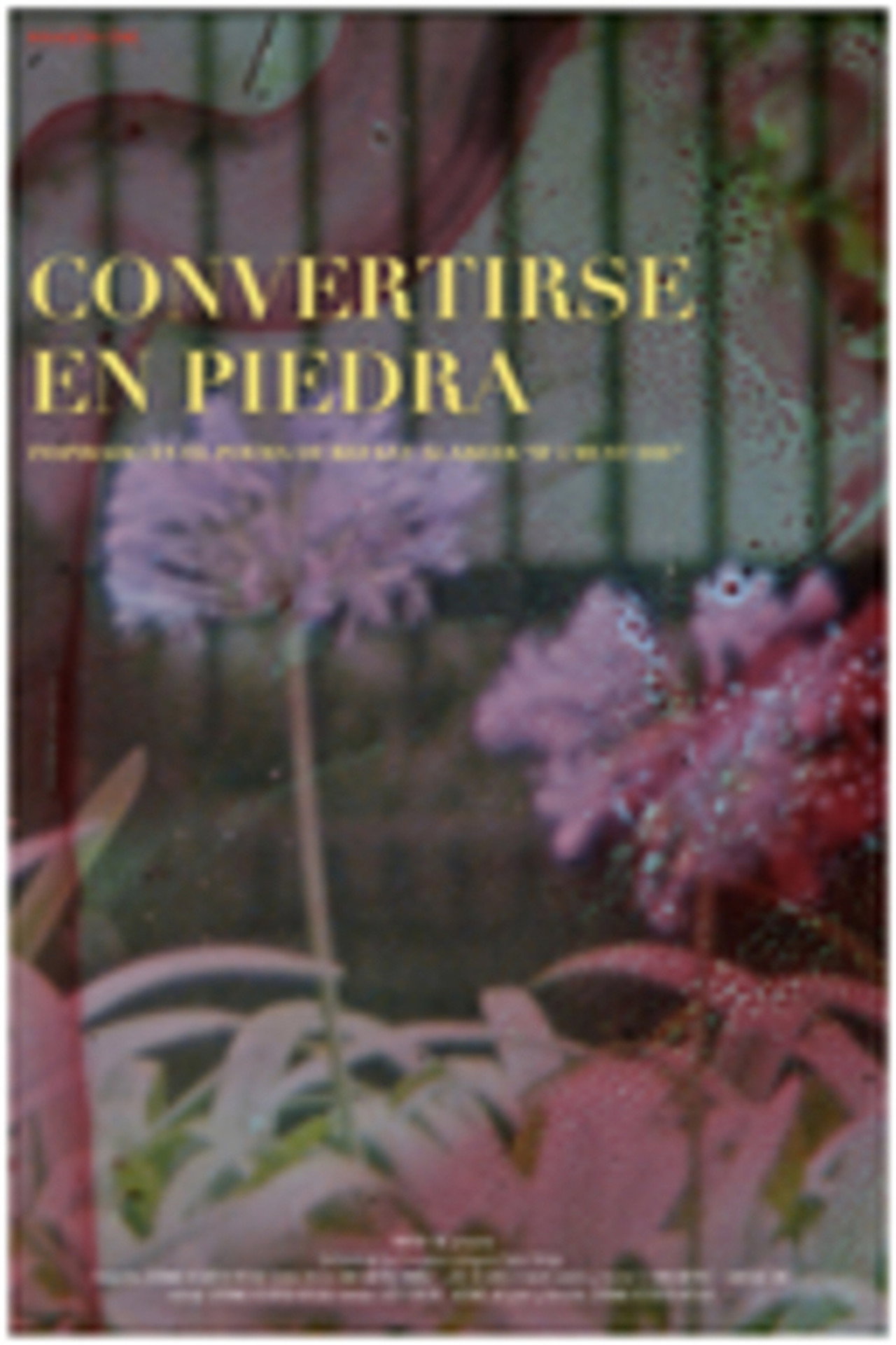 Convertirse en piedra filmaffisch