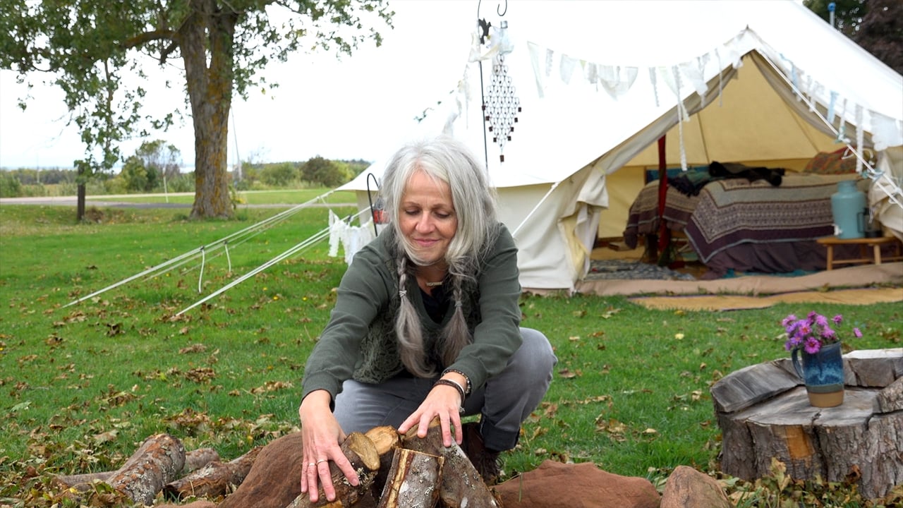 Camping à l'Île (2019)