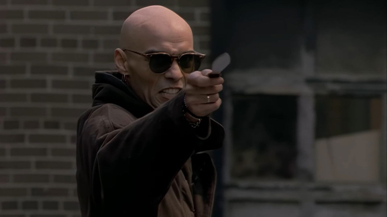 Un tandem de choc — Voir, c'est croire