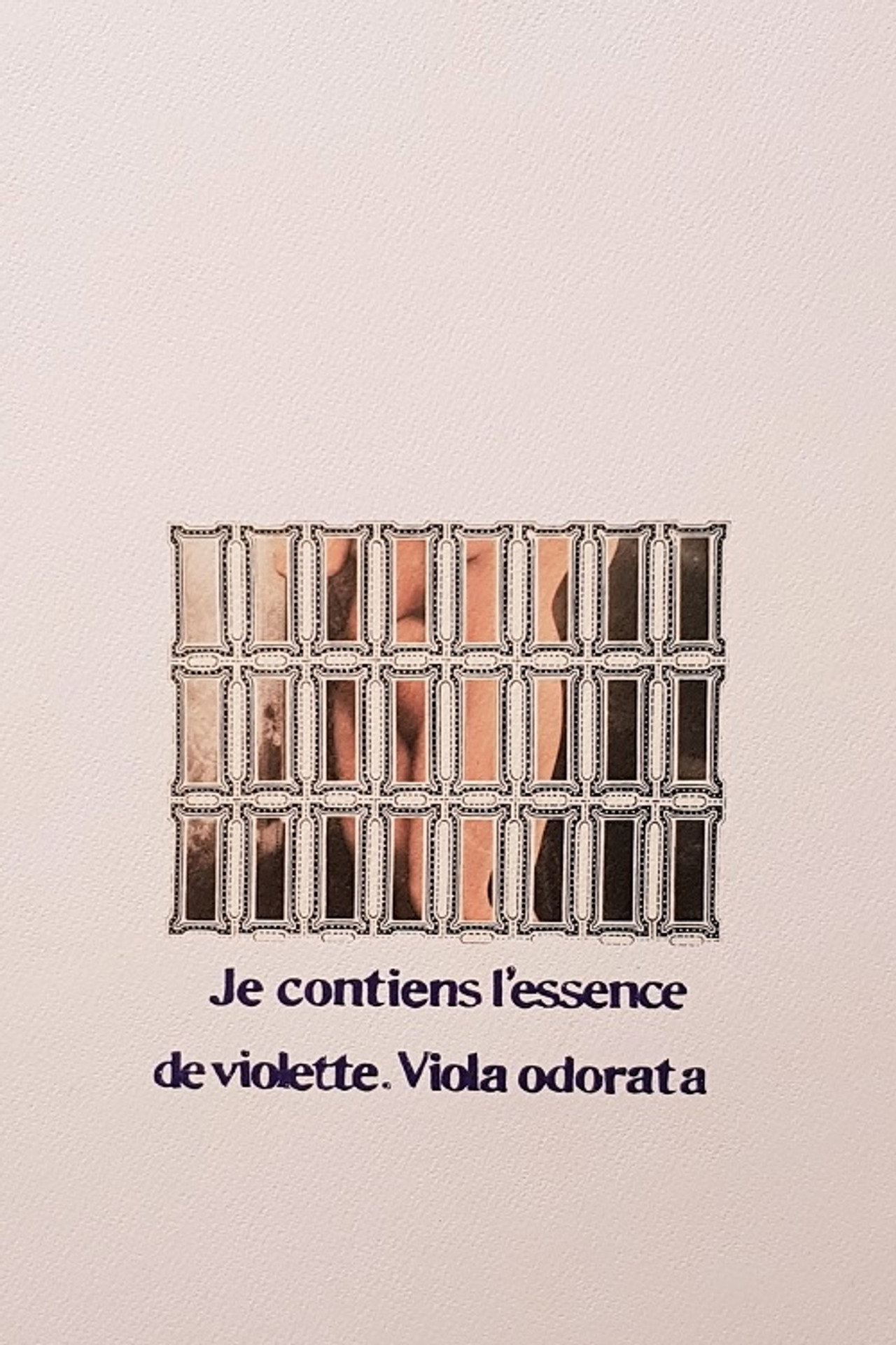 Vladimir Propp- Profumo di lupo