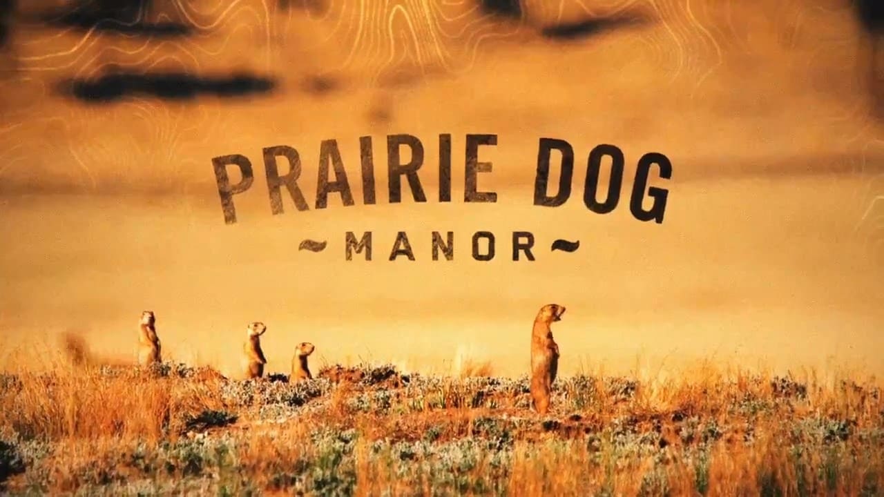 Prairie Dog Manor background