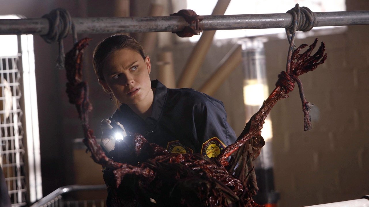 Bones - Season 1 Episode 15 : Two Bodies in the Lab