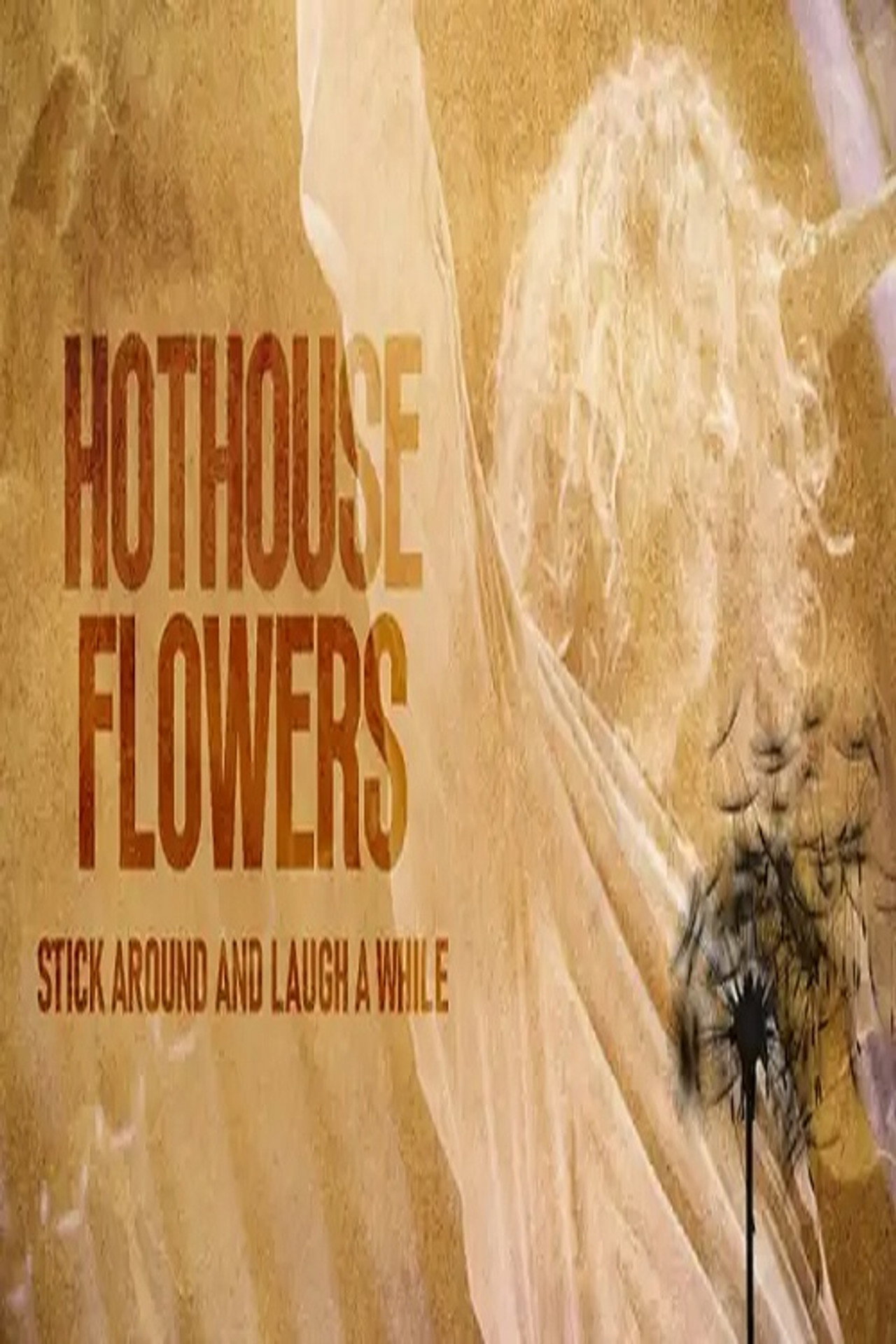 Hothouse Flowers: Stick Around and Laugh a While Backdrop