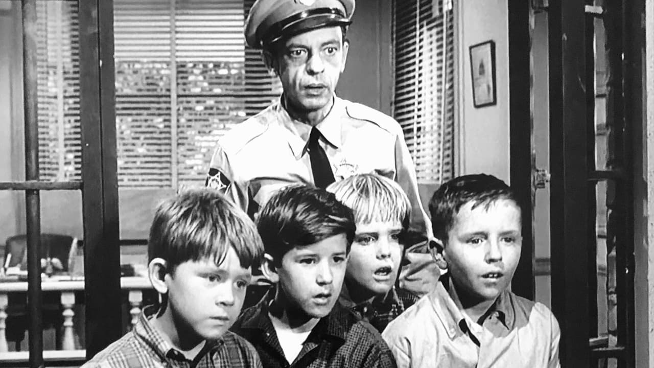The Andy Griffith Show - Season 3 Episode 23 : Andy Discovers America