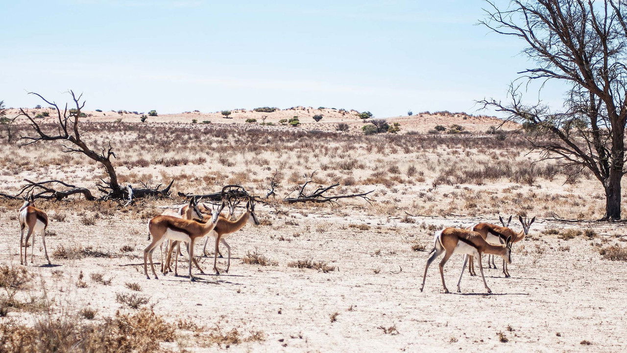 Africa's Deadly Kingdoms — Épisode 4
