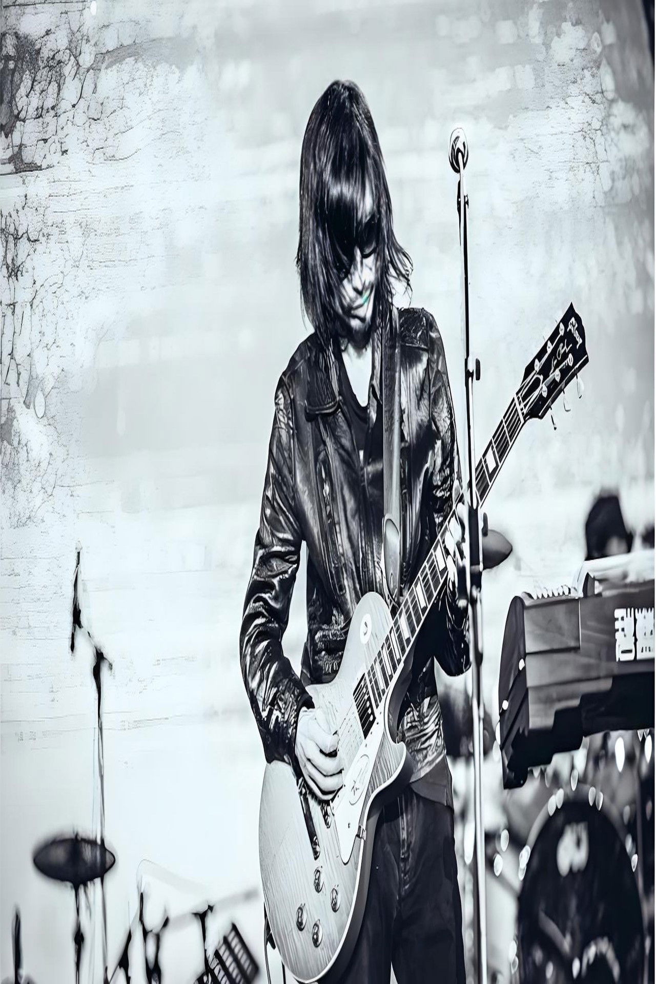 谢天笑 (2014绿放音乐节重庆站) Backdrop