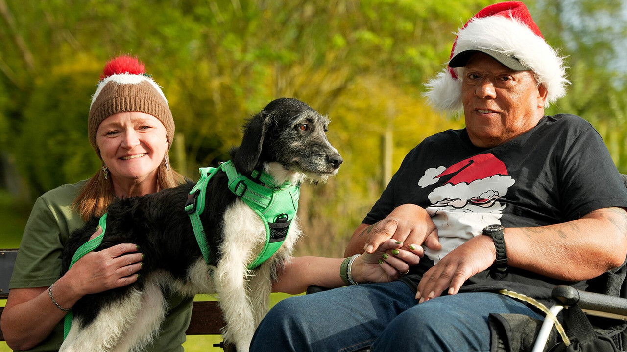 The Dog House - Season 0 Episode 6 : Christmas Special 2025