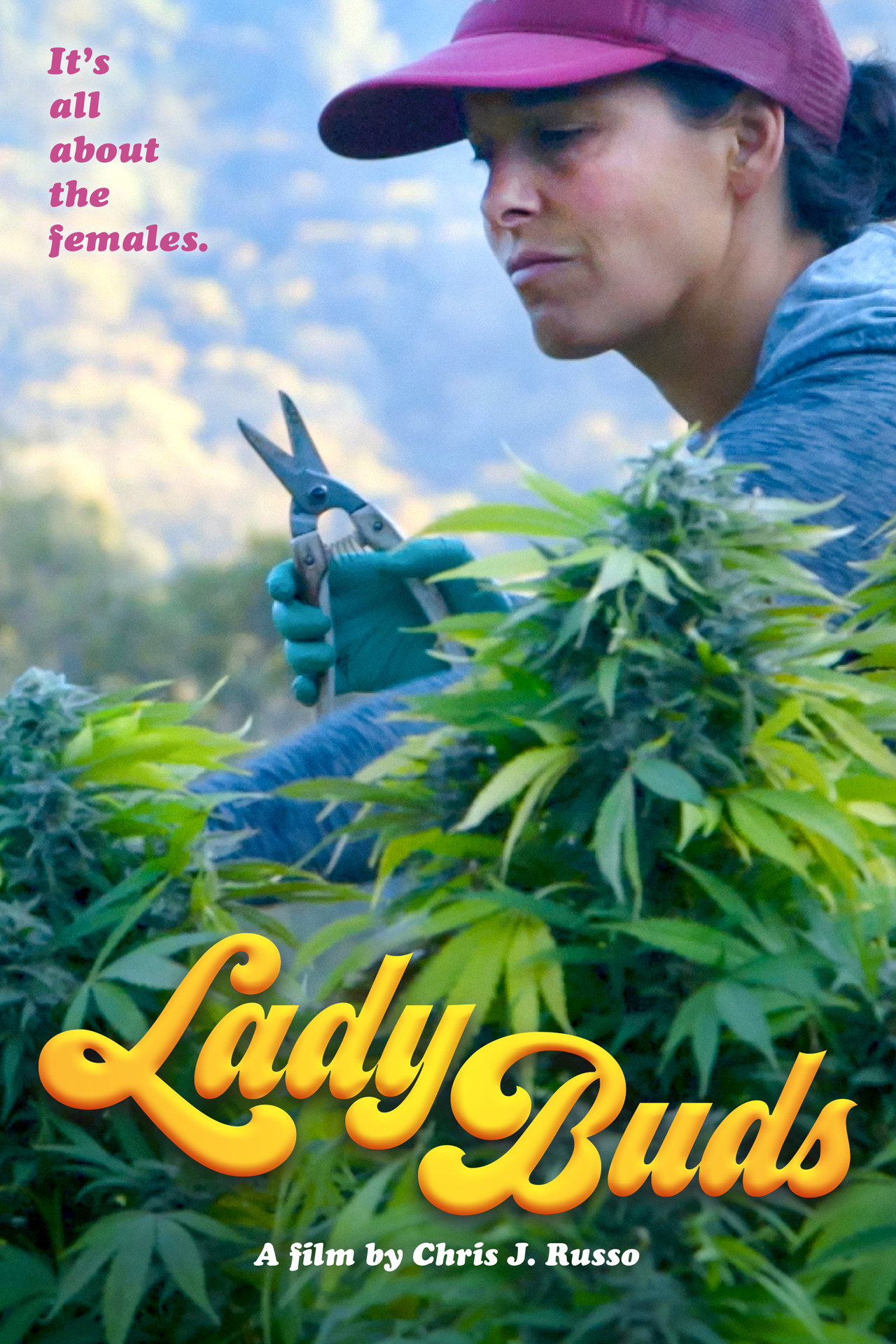 Lady Buds filmaffisch