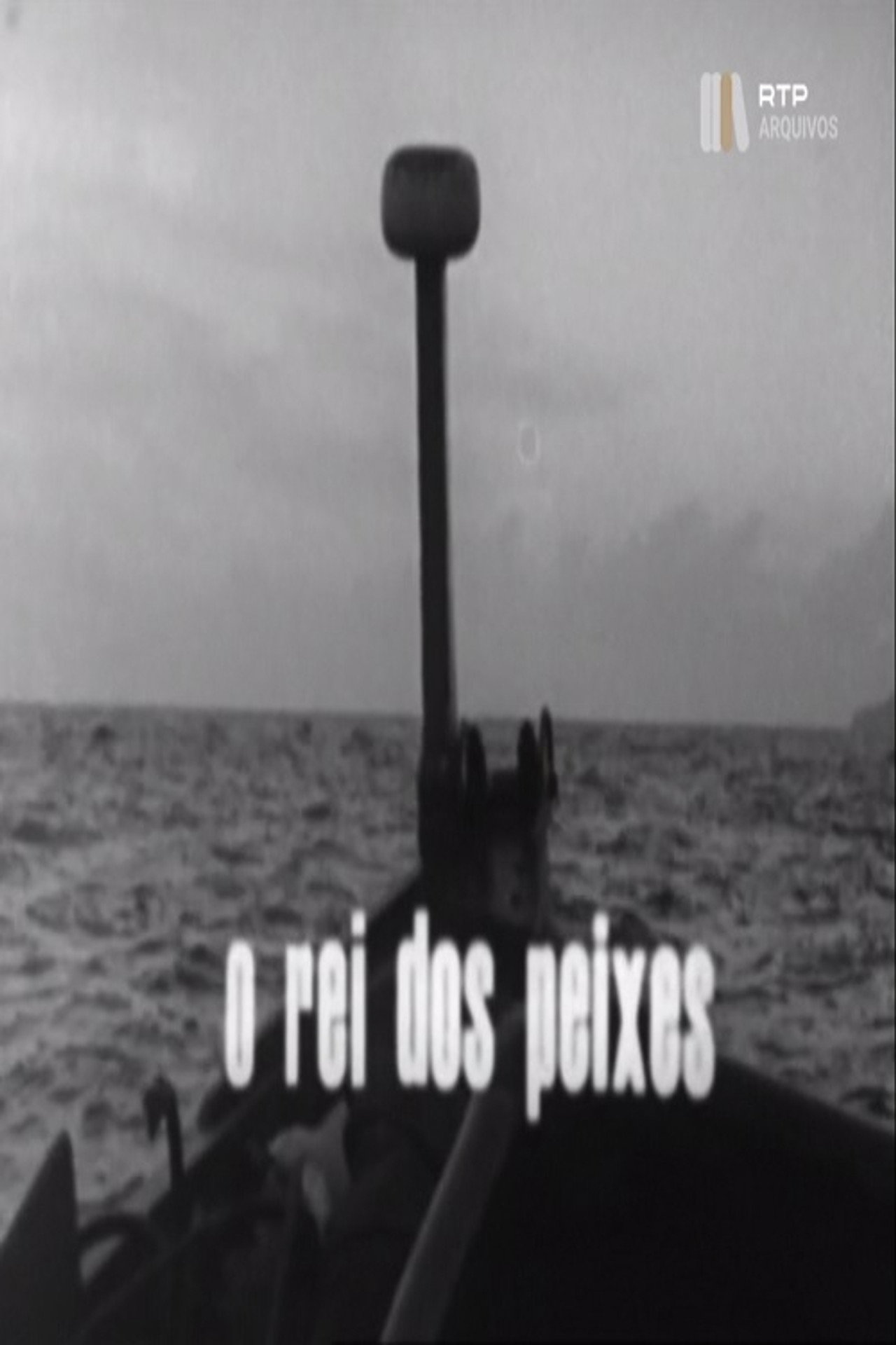 O Rei dos Peixes filmaffisch