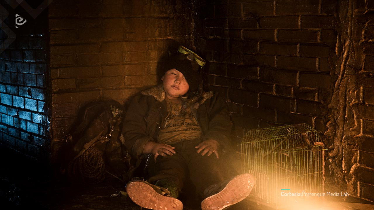 Immagine di copertina del trailer di Moles