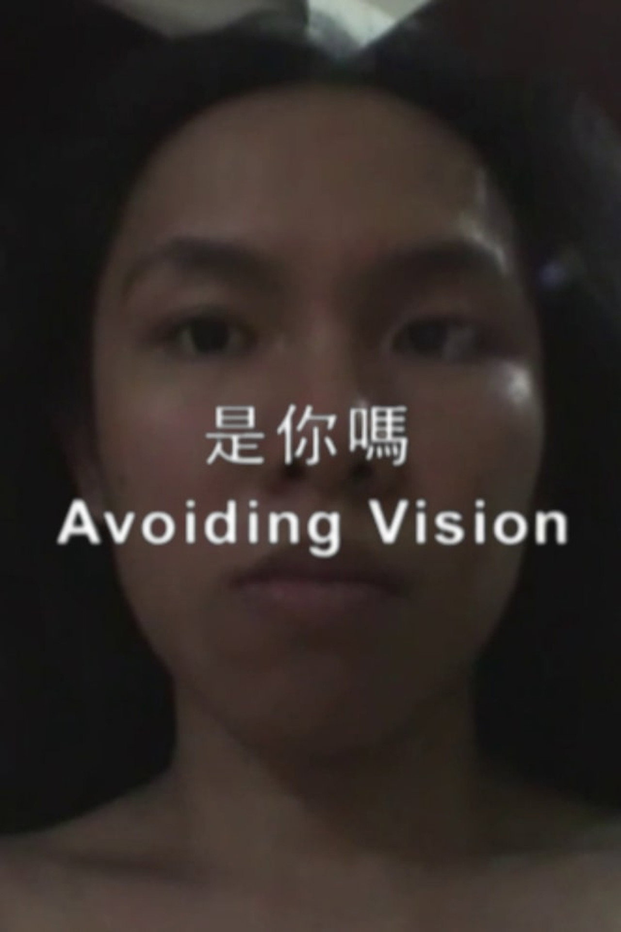 Avoiding Vision (2010)