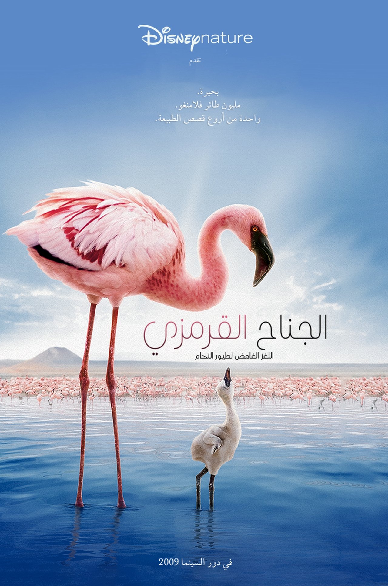 مشاهدة فيلم The Crimson Wing: Mystery of the Flamingos مترجم بدون اعلانات - بوستر