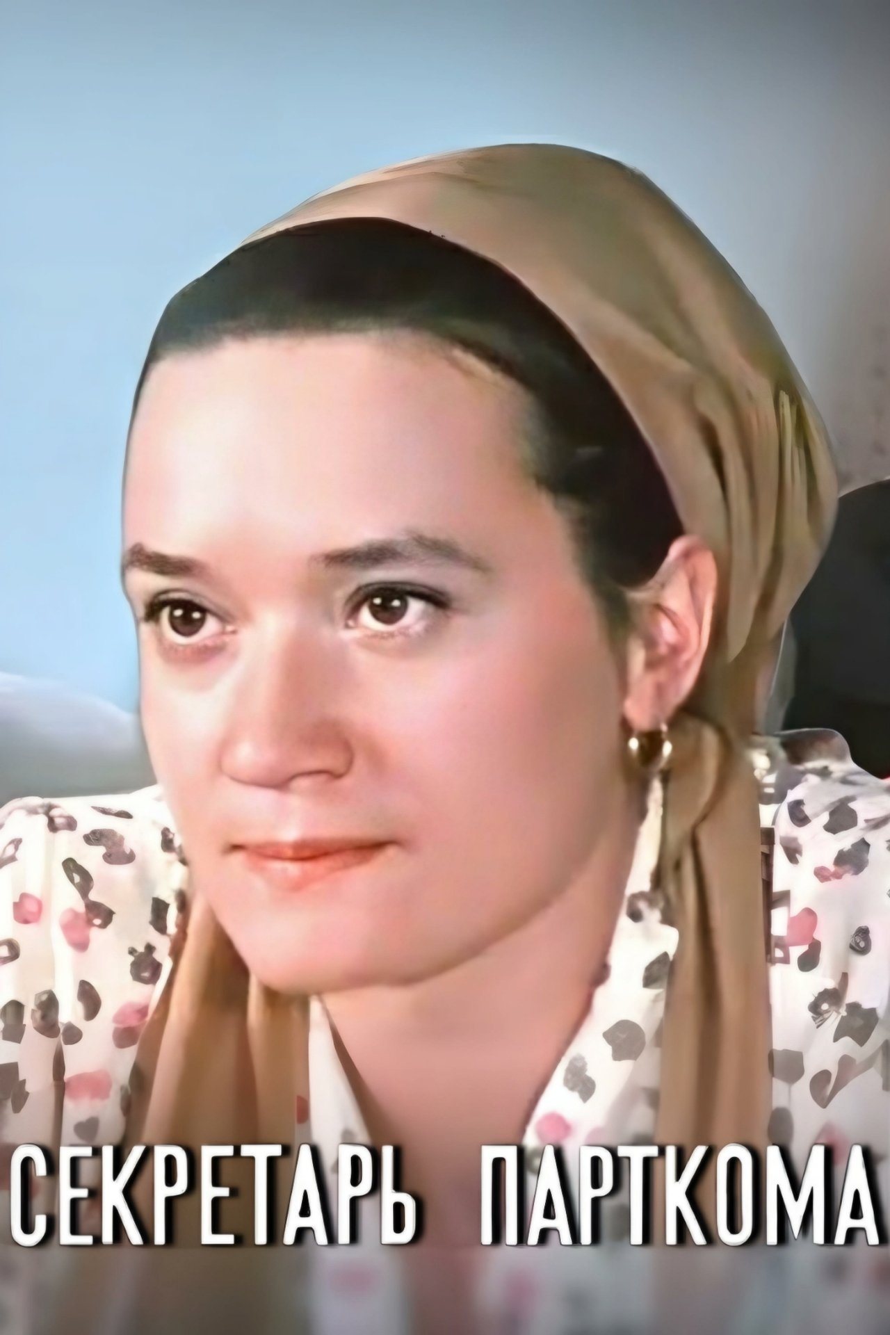 مشاهدة فيلم Party Secretary مترجم بدون اعلانات - بوستر