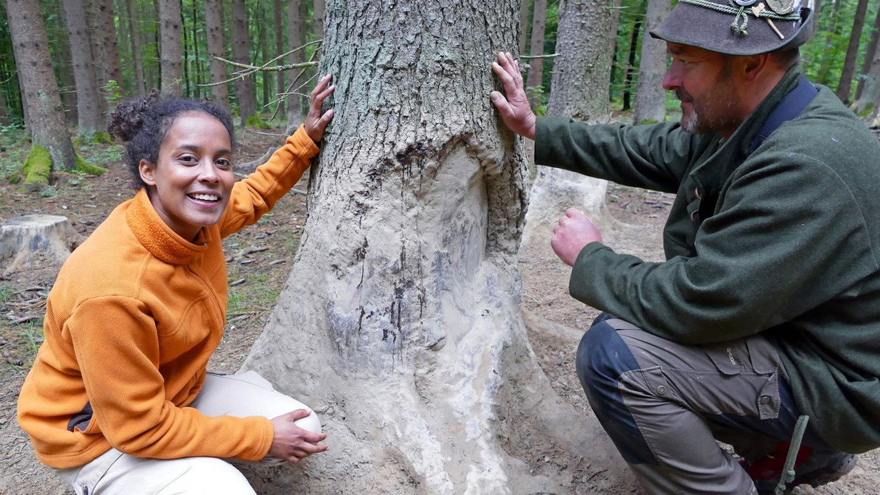 Pia und die wilden Tiere — Épisode 11