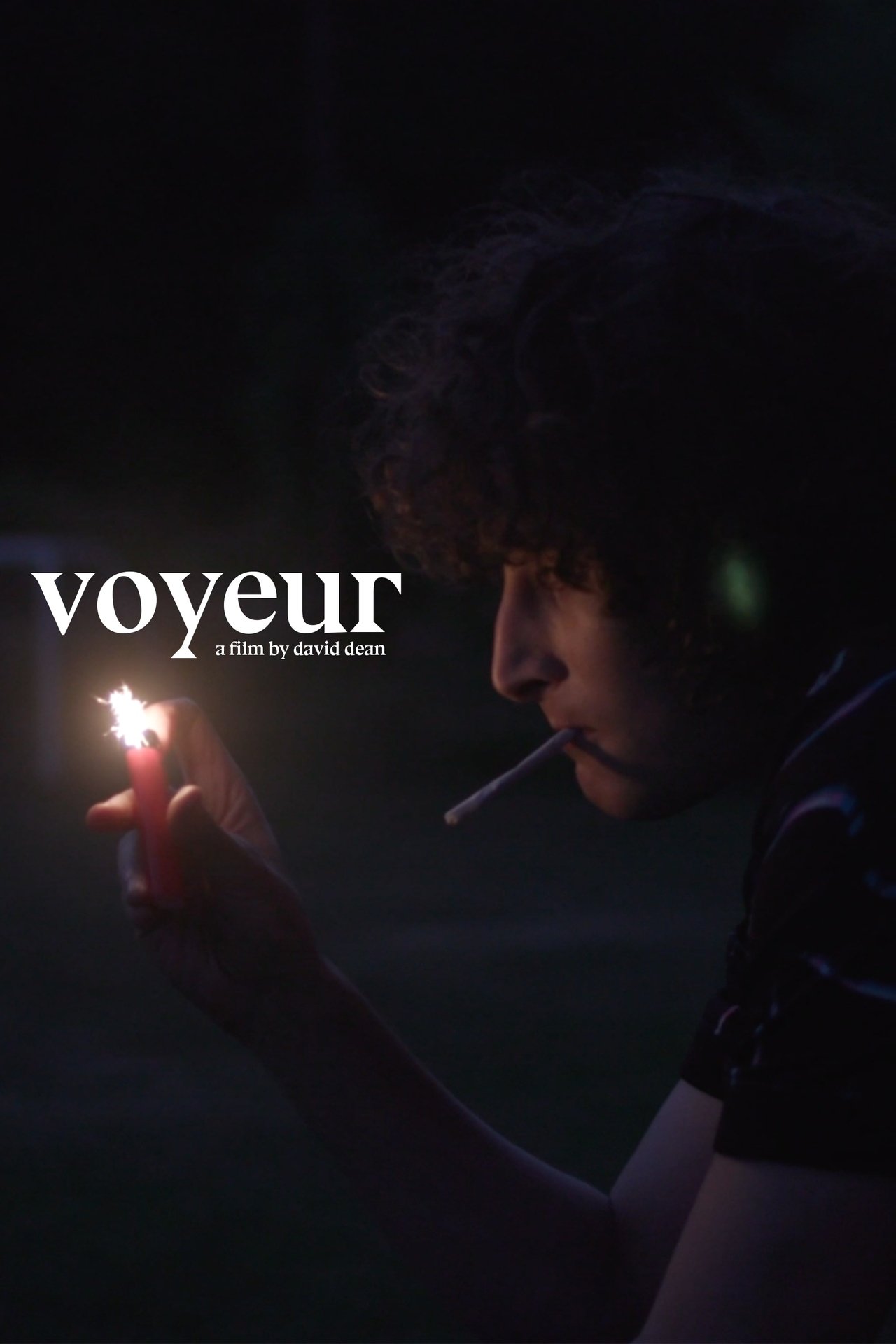 Voyeur poster