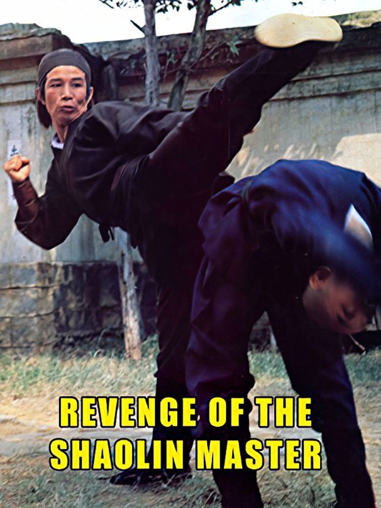 مشاهدة فيلم Revenge of a Shaolin Master مترجم بدون اعلانات - بوستر