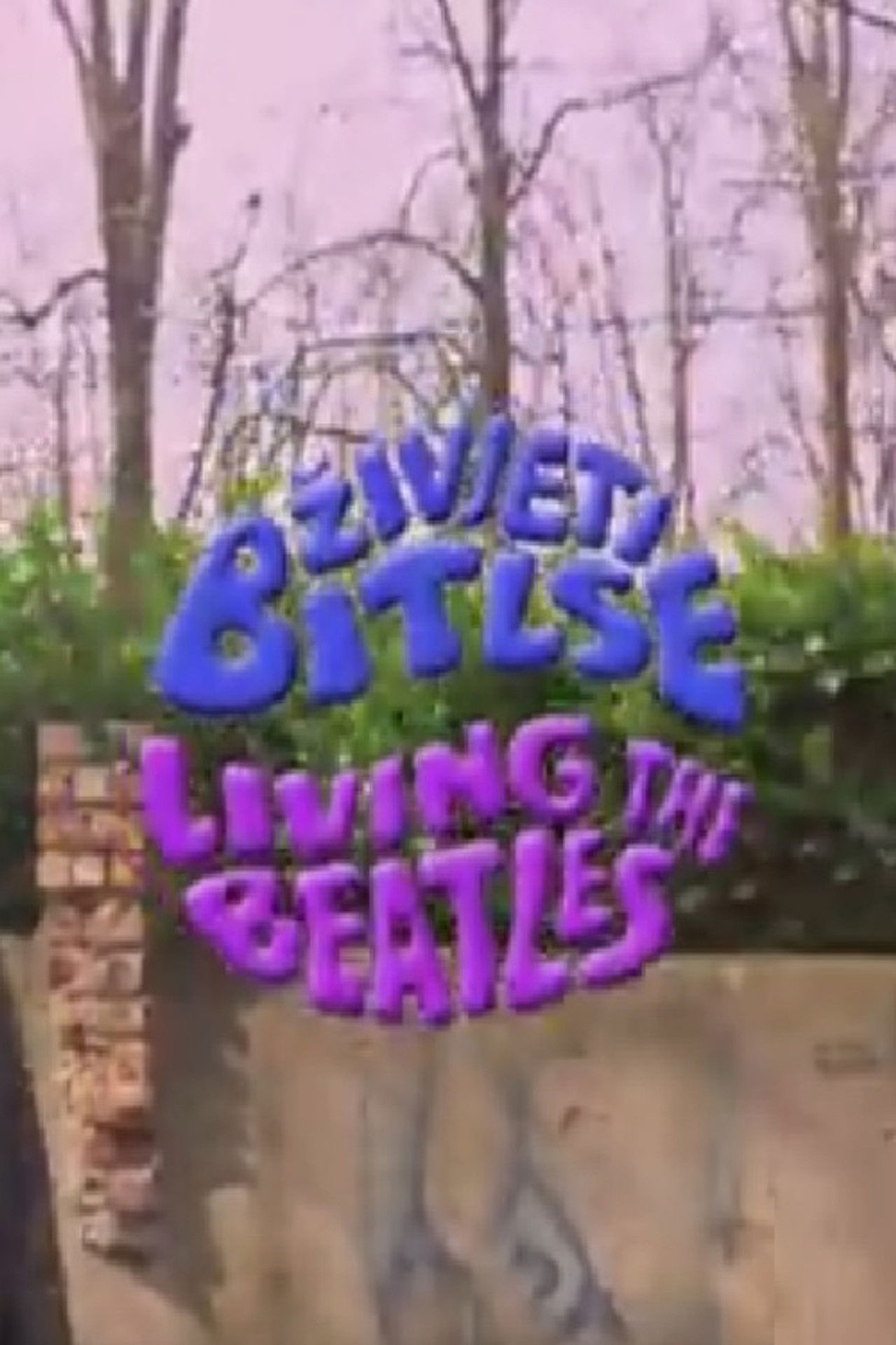 Living the Beatles Backdrop