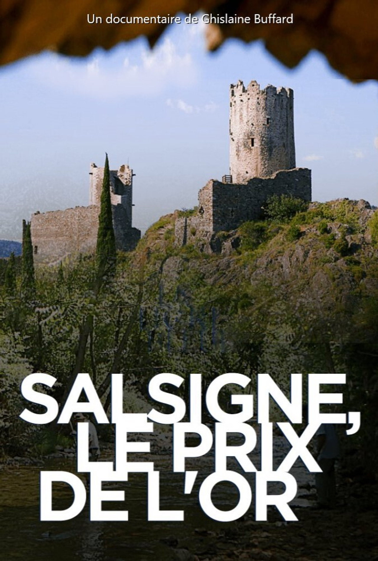 Salsigne : le prix de l'or filmaffisch