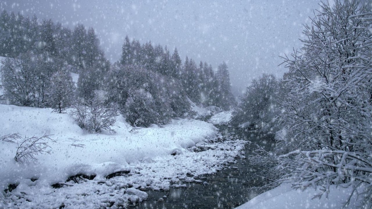 Nieve