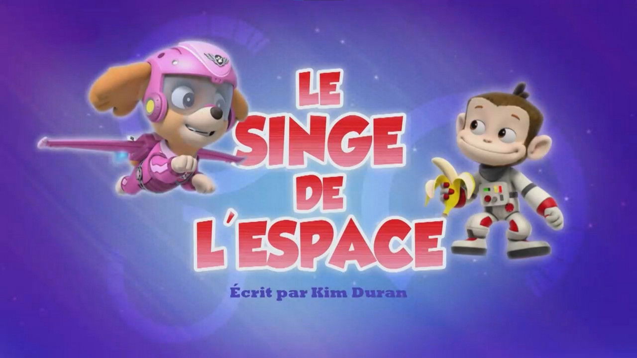 La Pat' Patrouille — Le Singe de l'espace