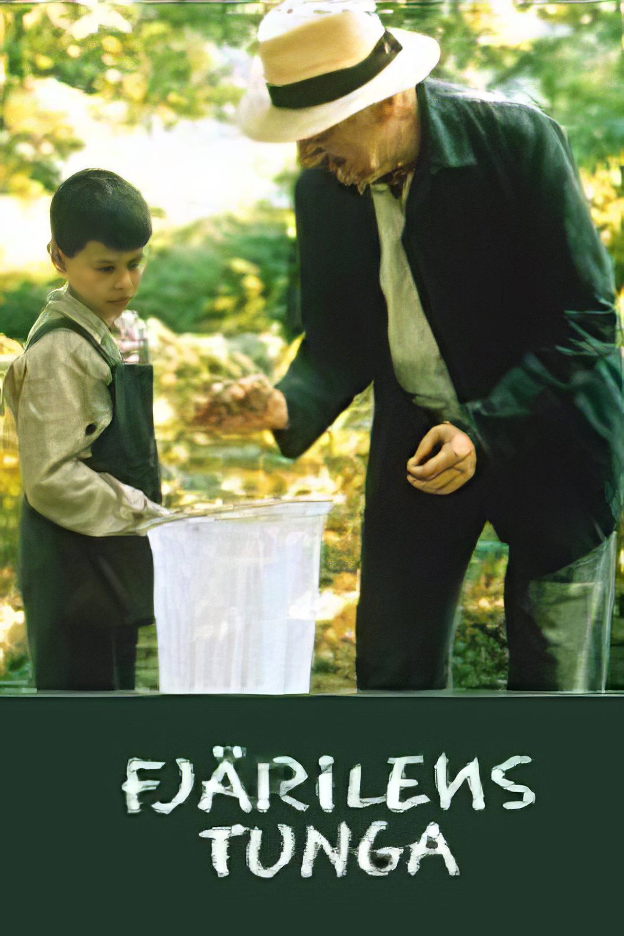 La lengua de las mariposas filmaffisch