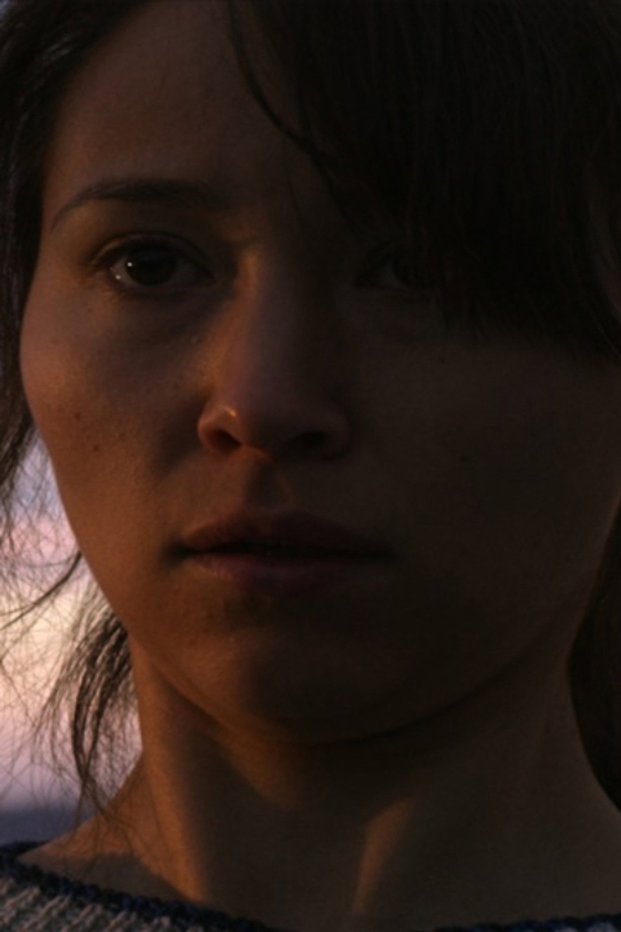 The Last Walk: Greenland Backdrop