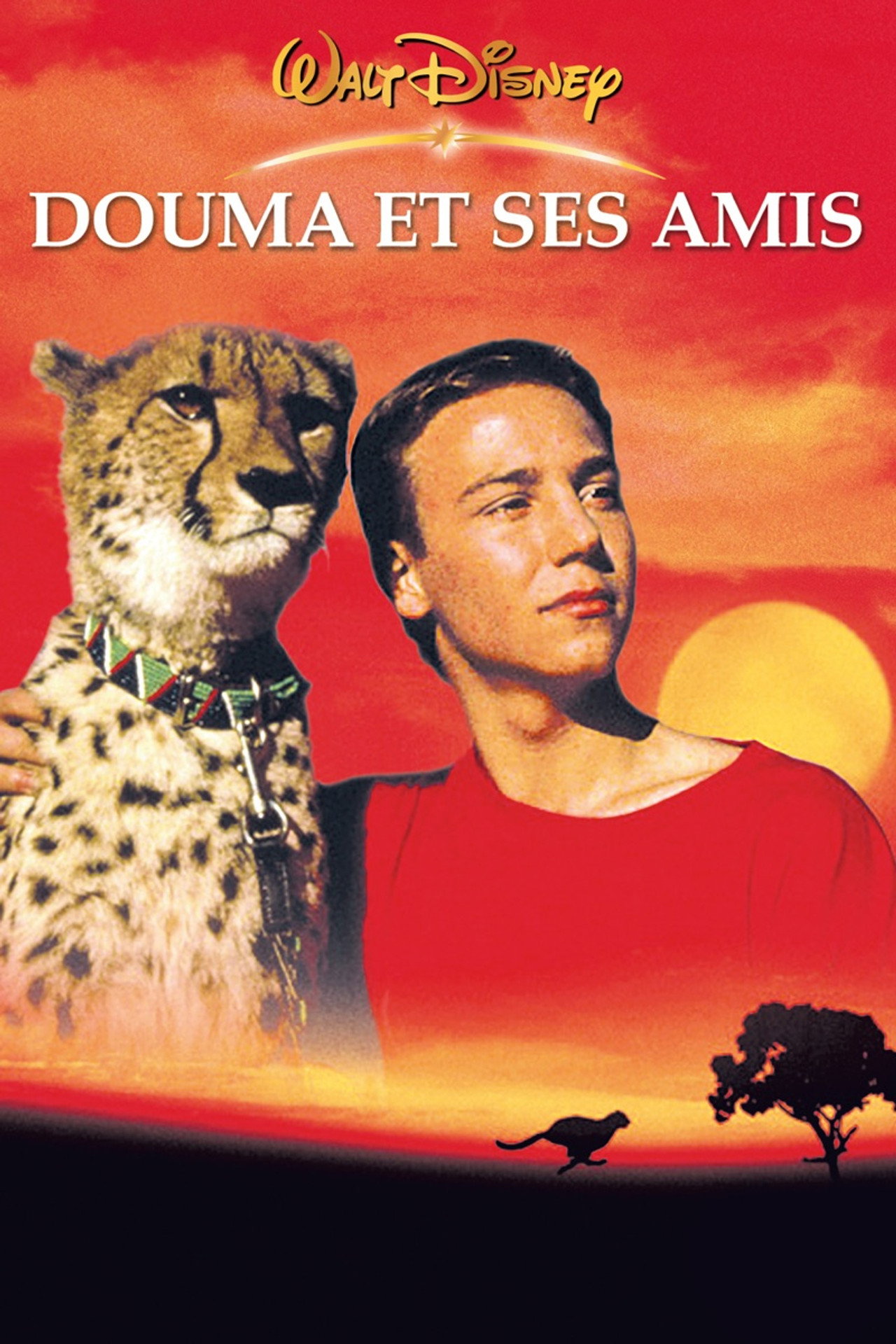 Douma et ses amis poster