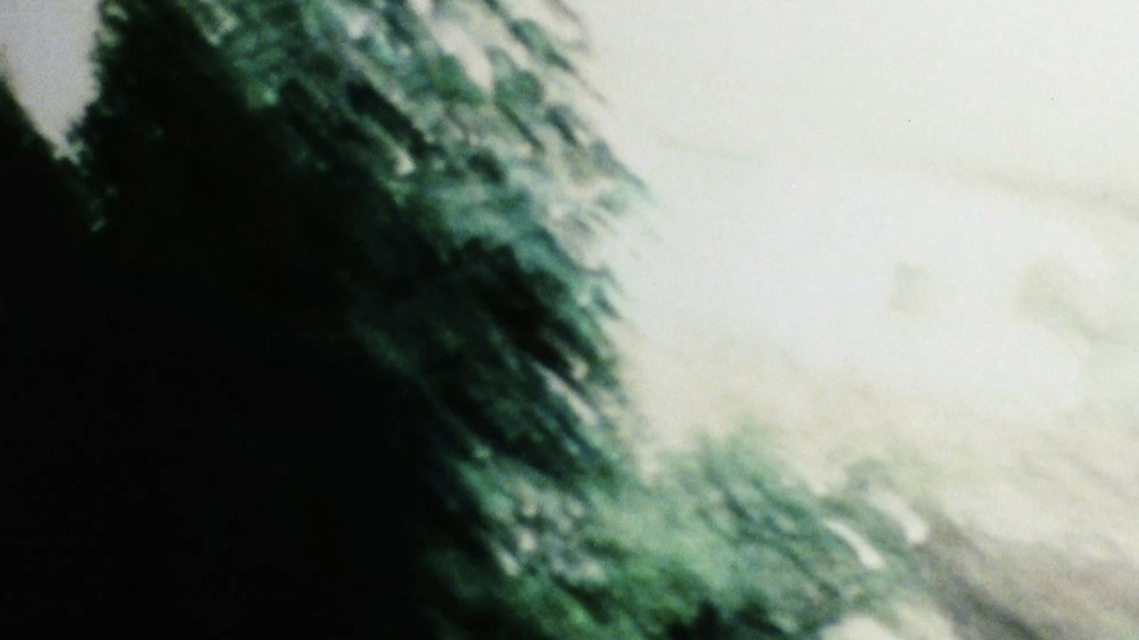 Fondo