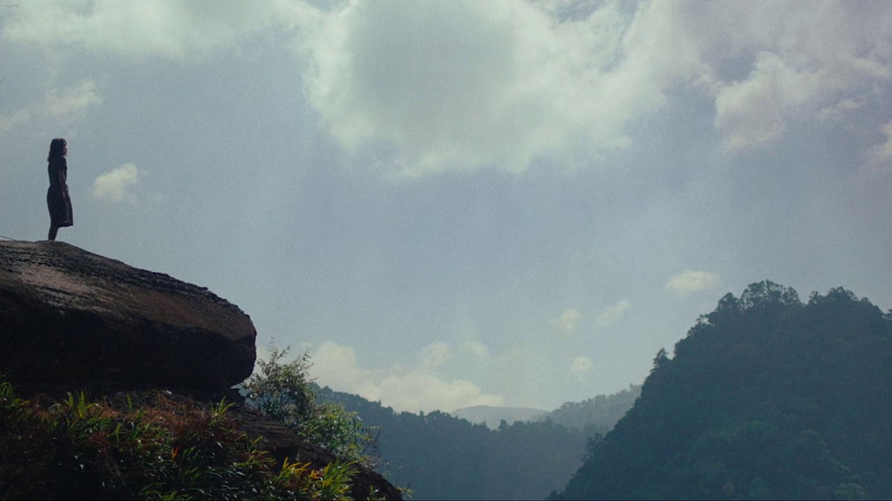 Le seuil de la forêt