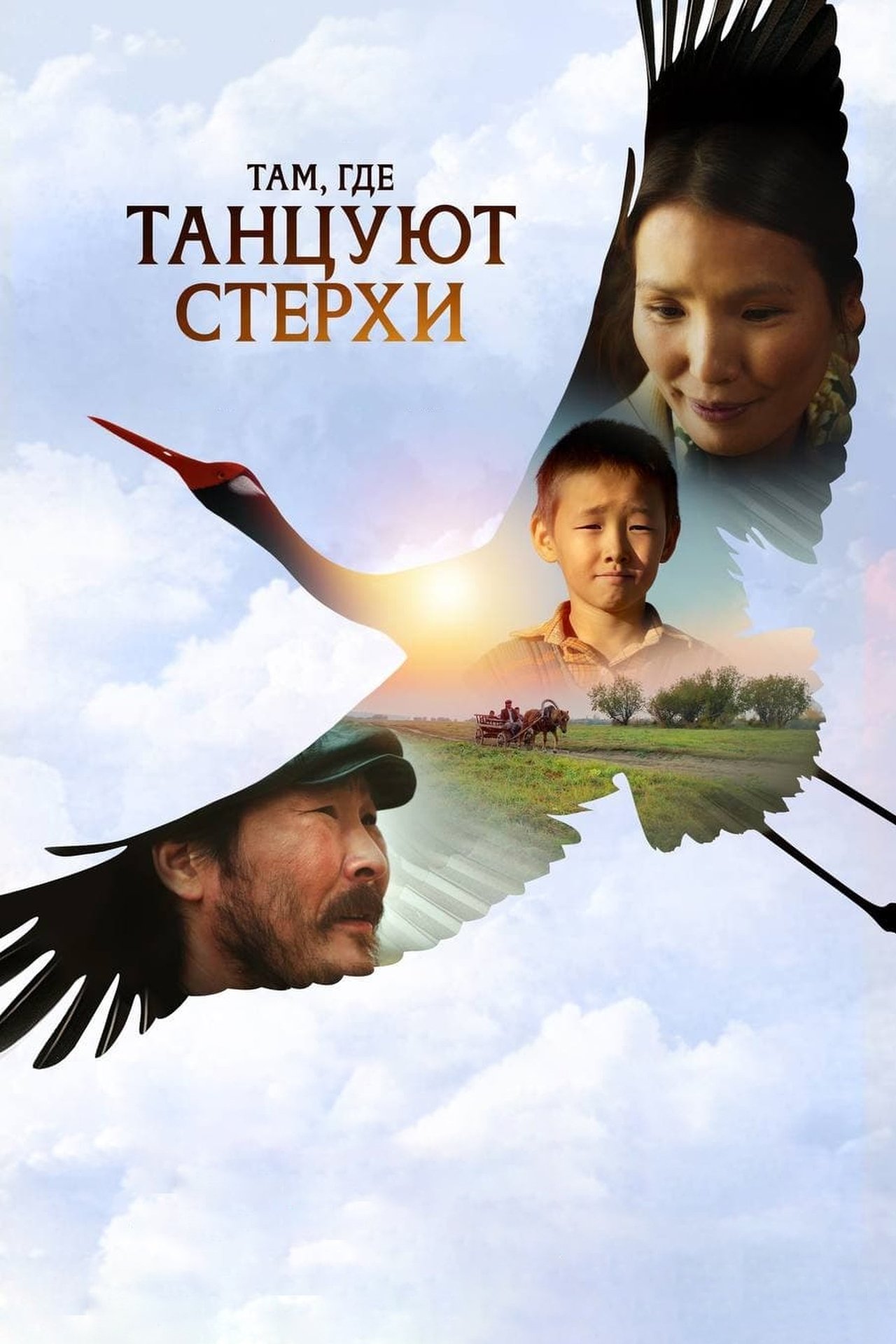 Там, где танцуют стерхи poster