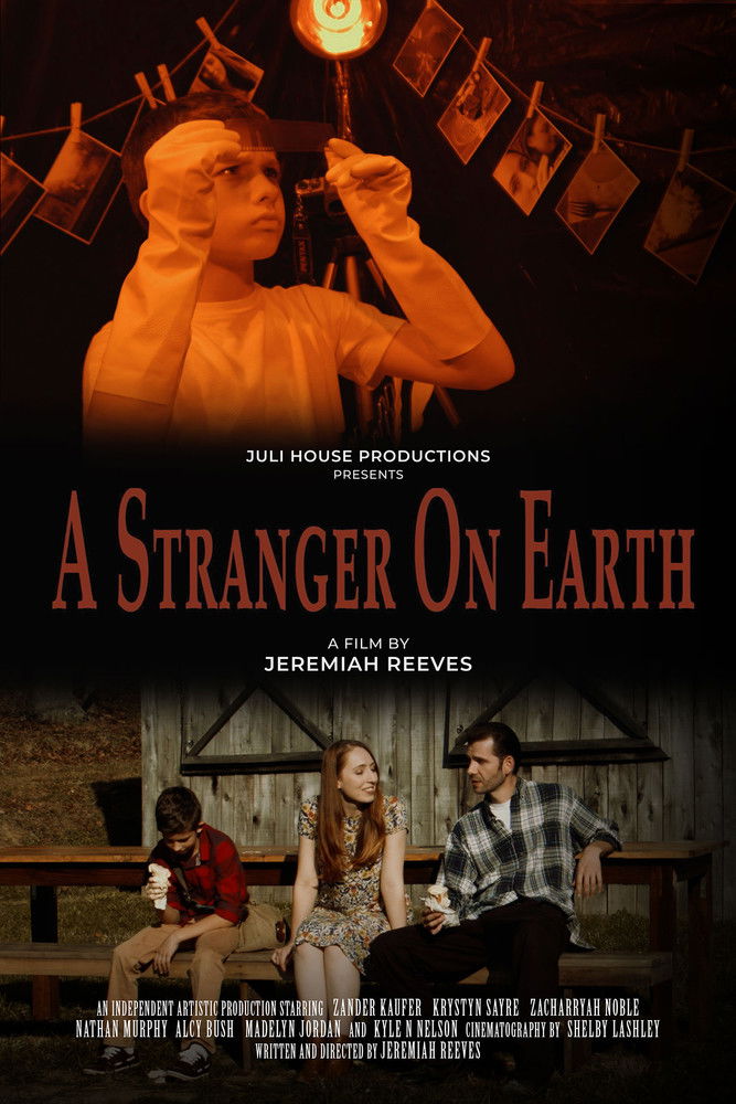 A Stranger On Earth poster