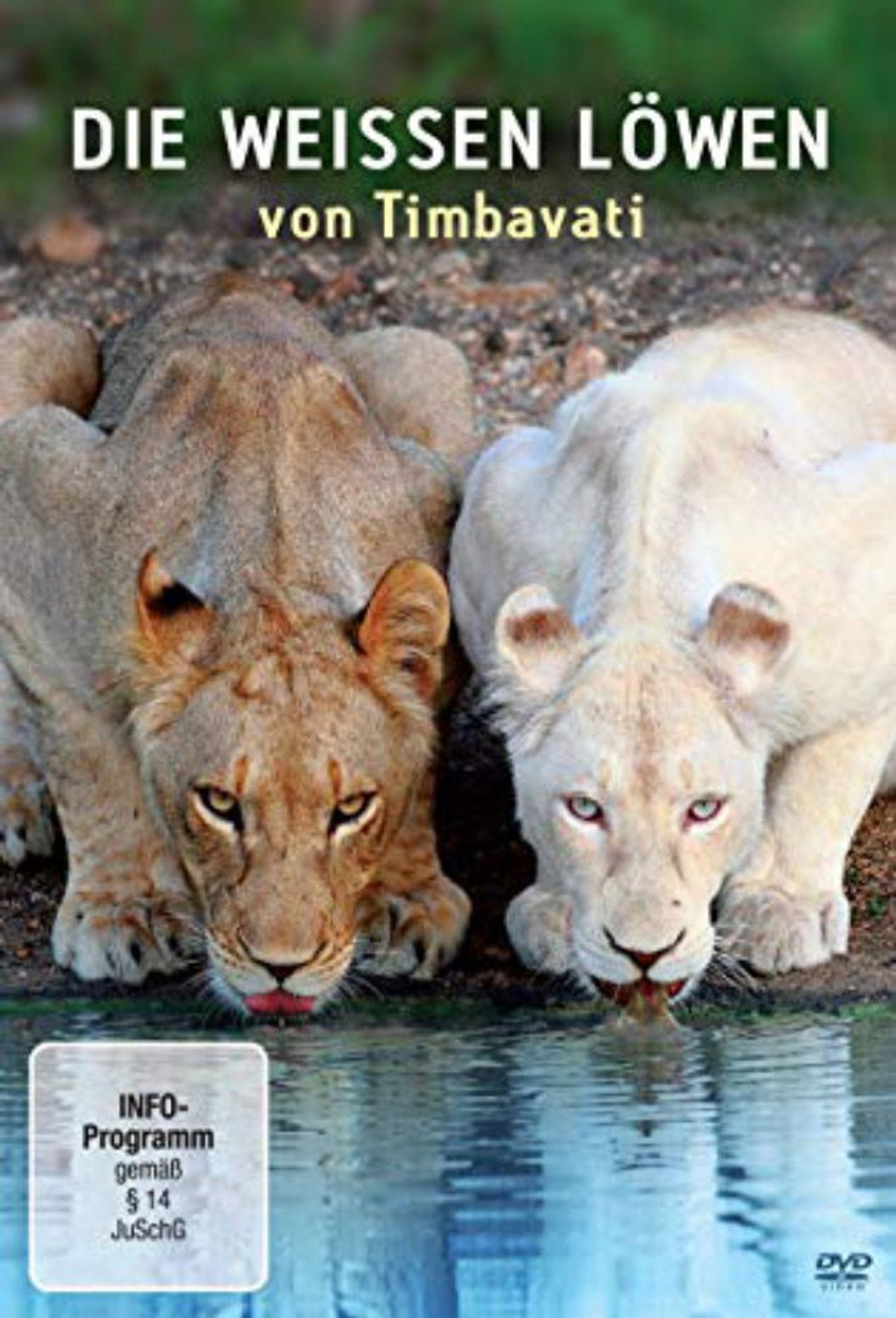 Die weißen Löwen von Timbavati filmaffisch