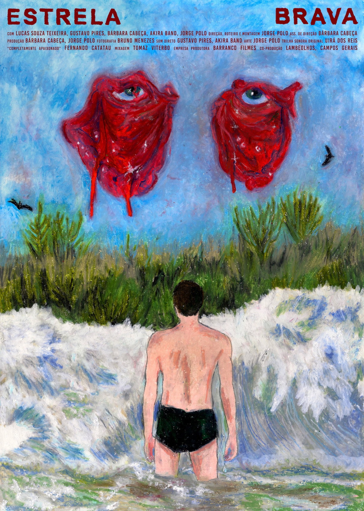 Estrela Brava Backdrop