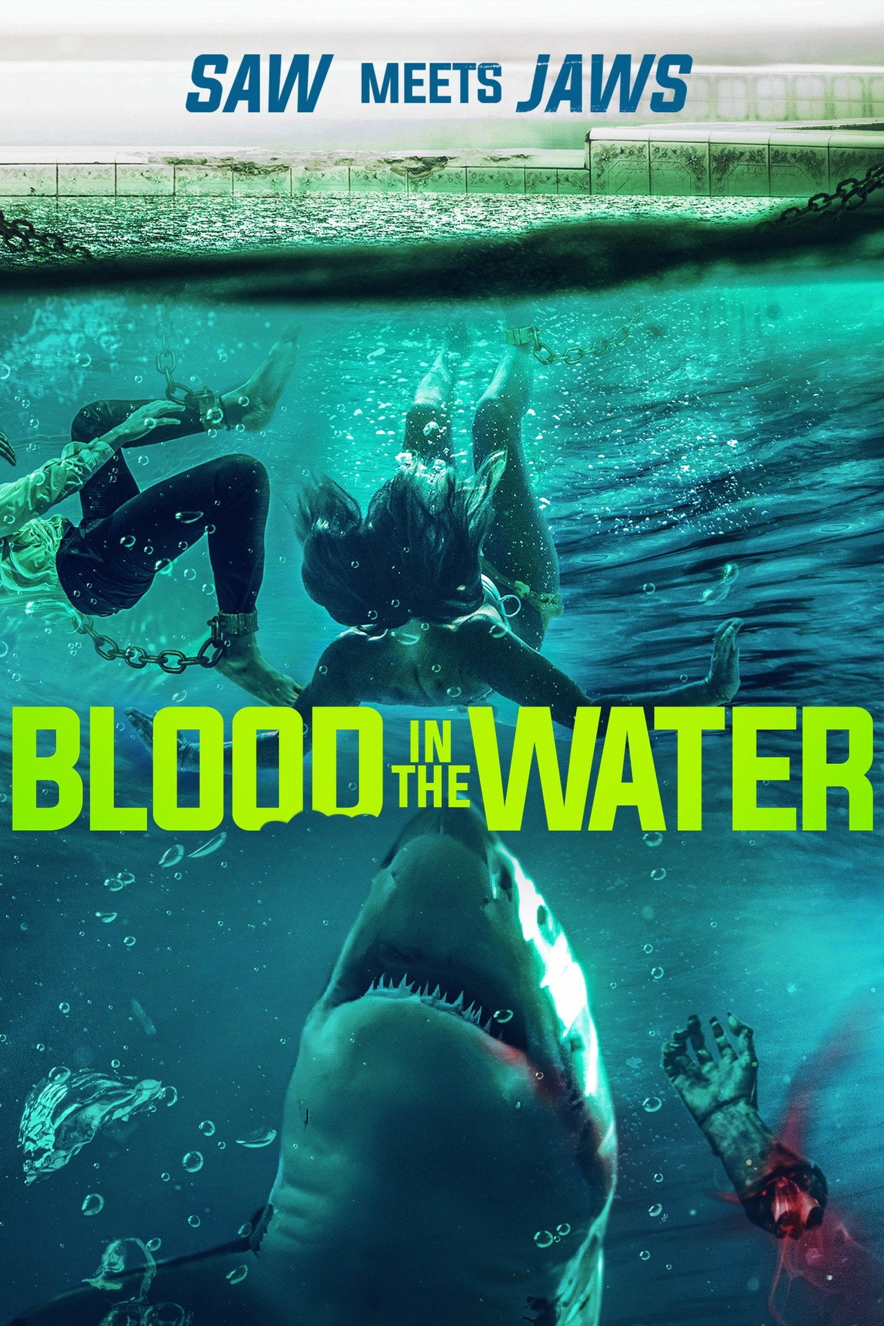 Blood in the Water – plakát 4