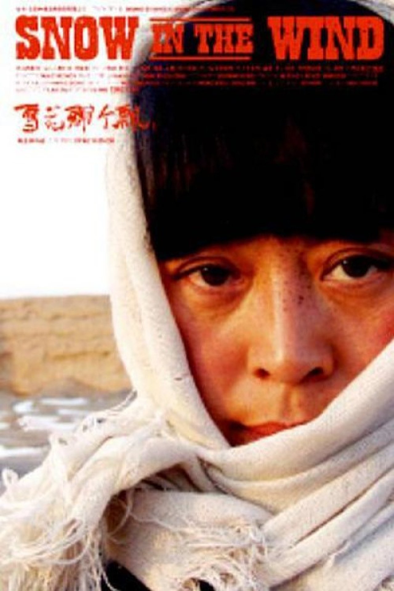 مشاهدة فيلم Snow in the Wind مترجم بدون اعلانات - بوستر