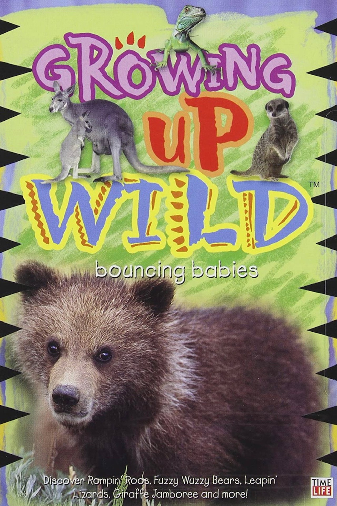 Growing Up Wild: Vol. 3: Bouncing Babies Backdrop