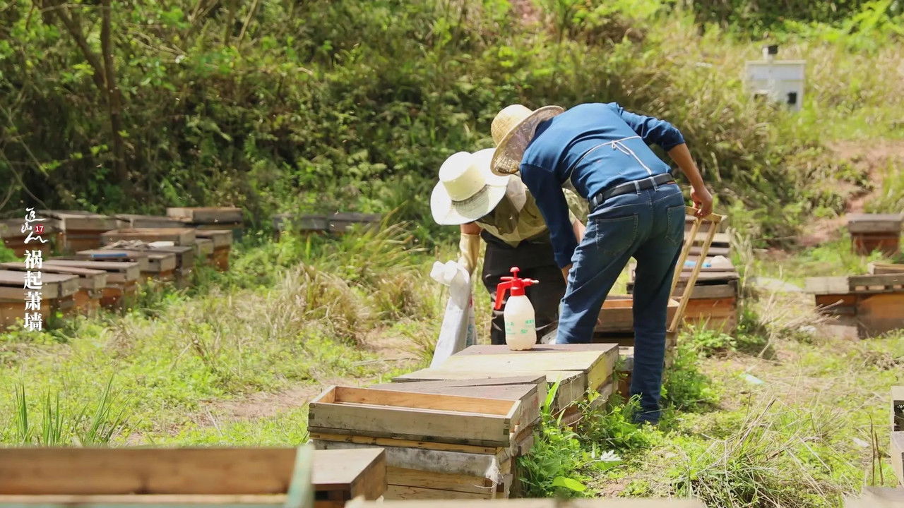 追山人 — Épisode 17