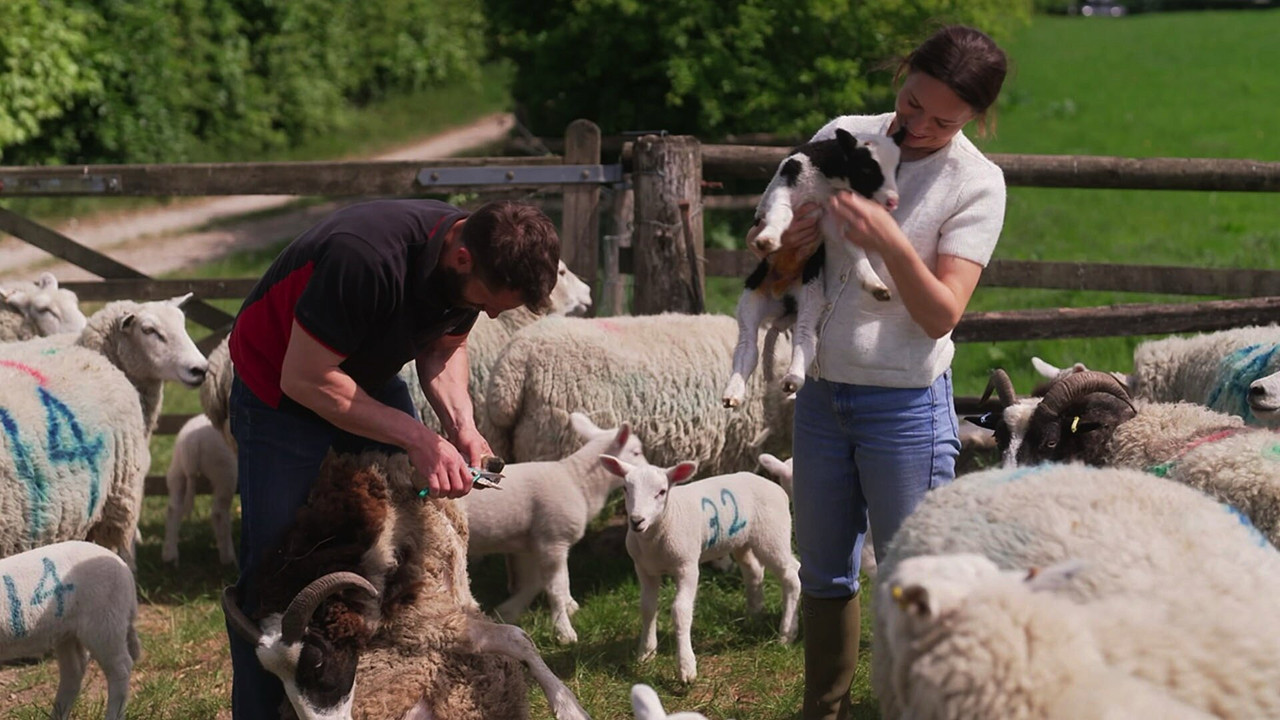 Fletchers' Family Farm — Épisode 5