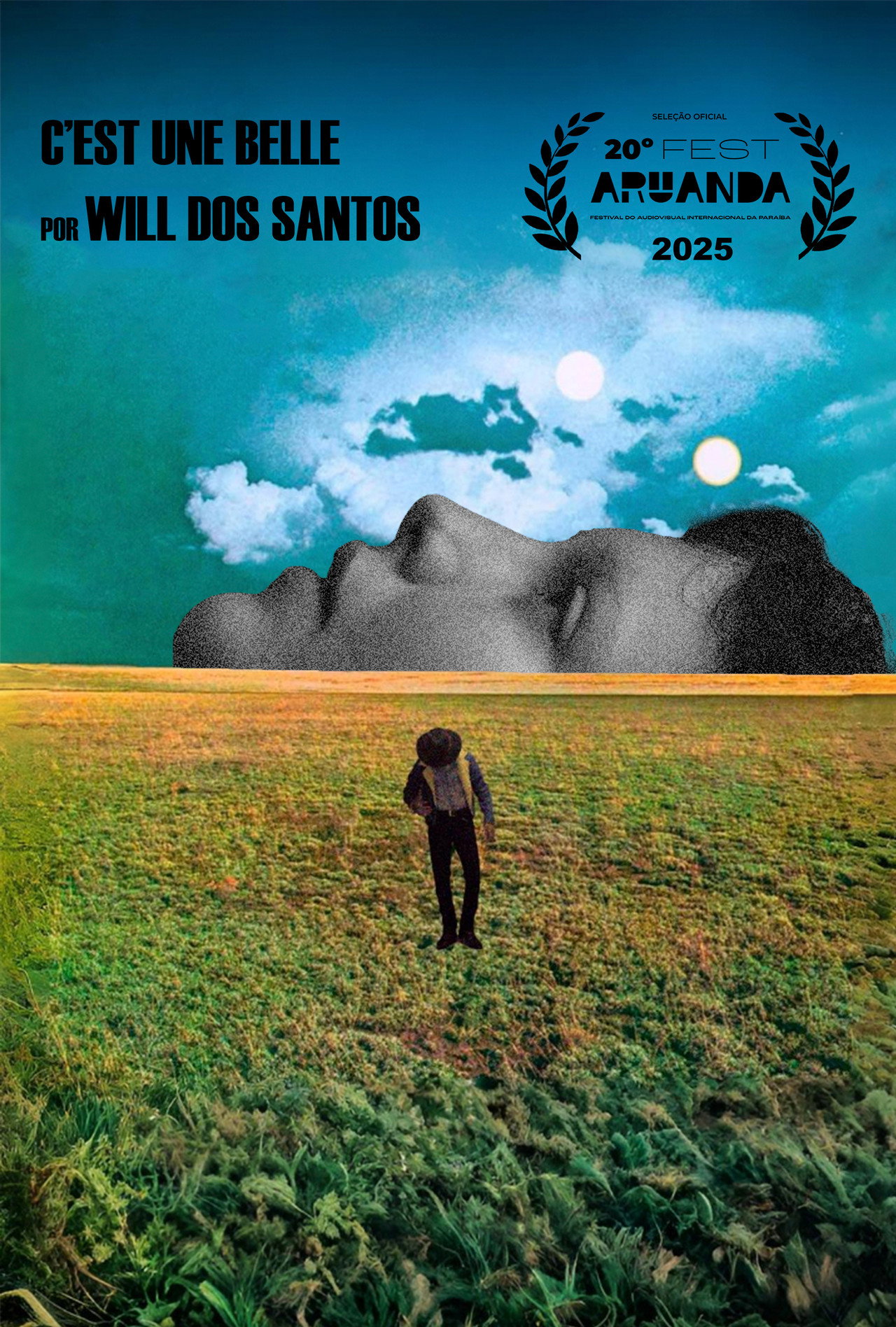 c’est une belle filmaffisch