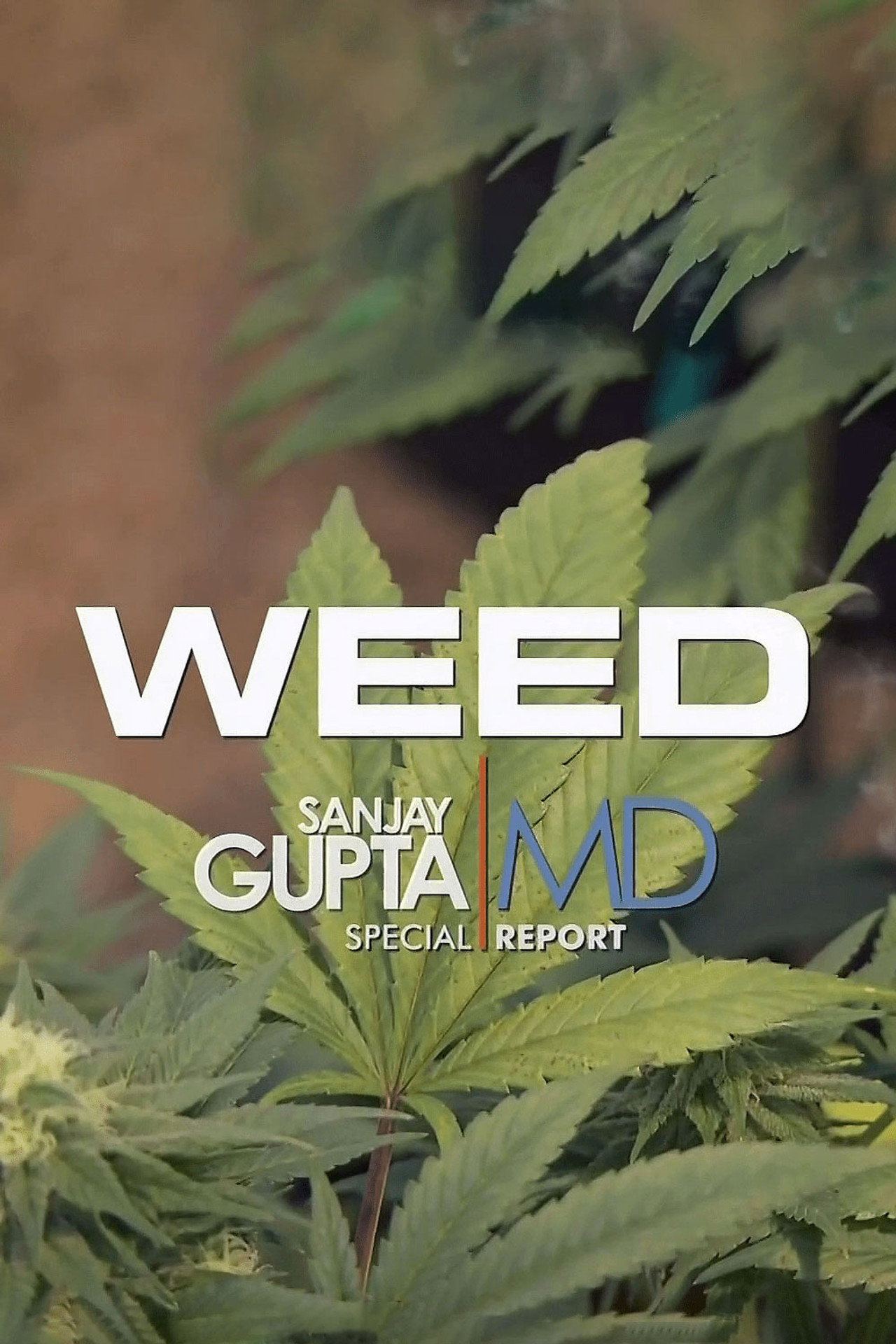 Weed: A Dr. Sanjay Gupta Special Backdrop