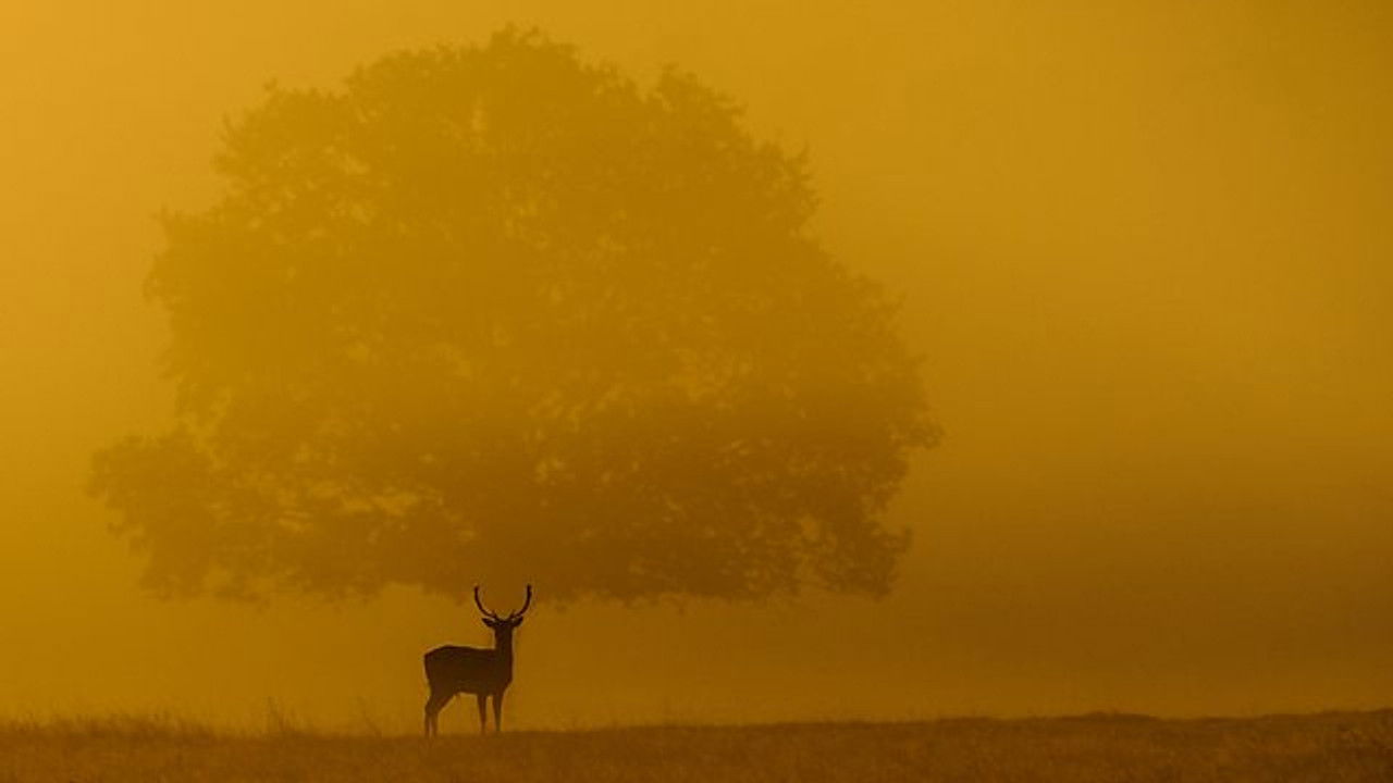 Autumnwatch — Épisode 3