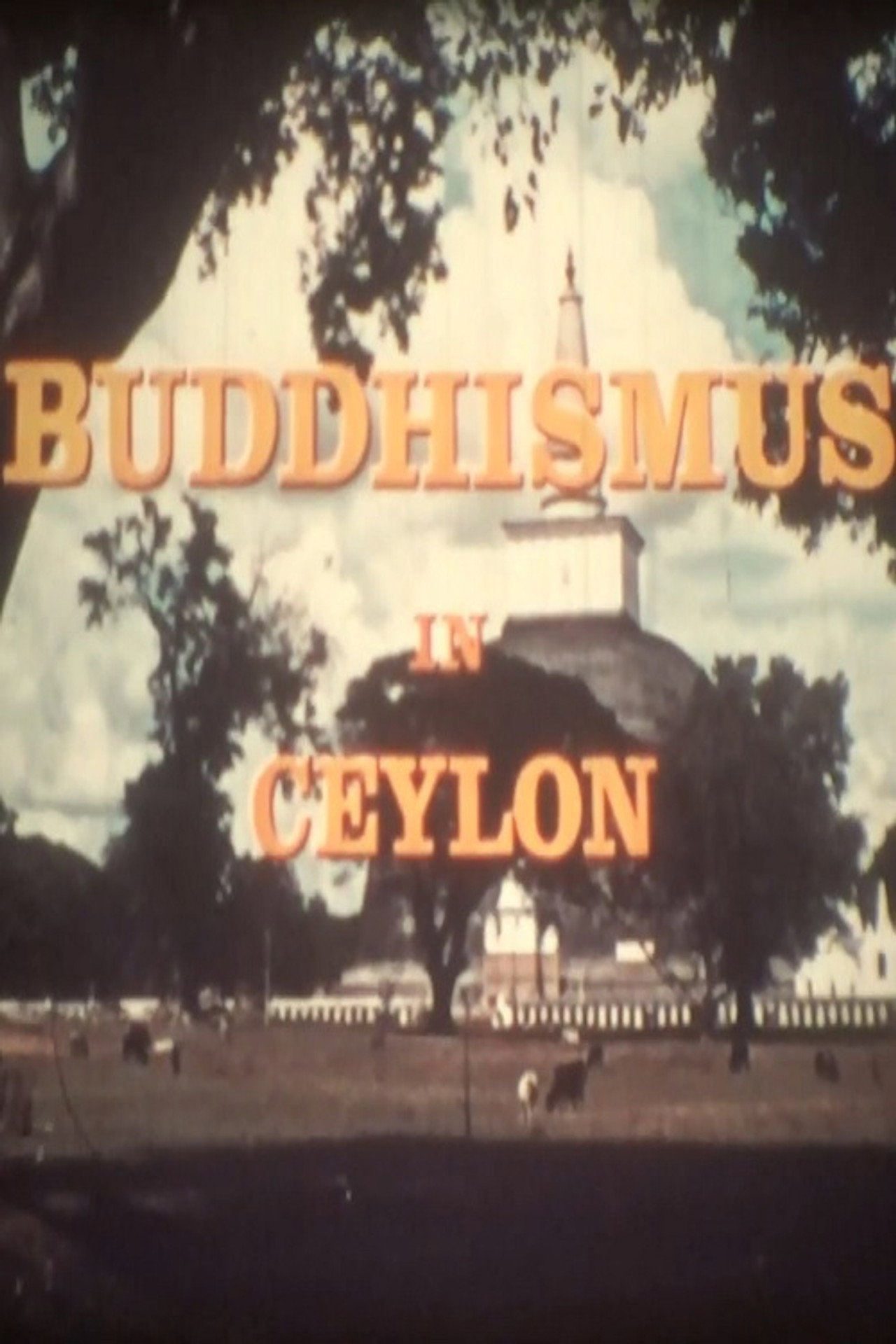 Buddhismus in Ceylon filmaffisch