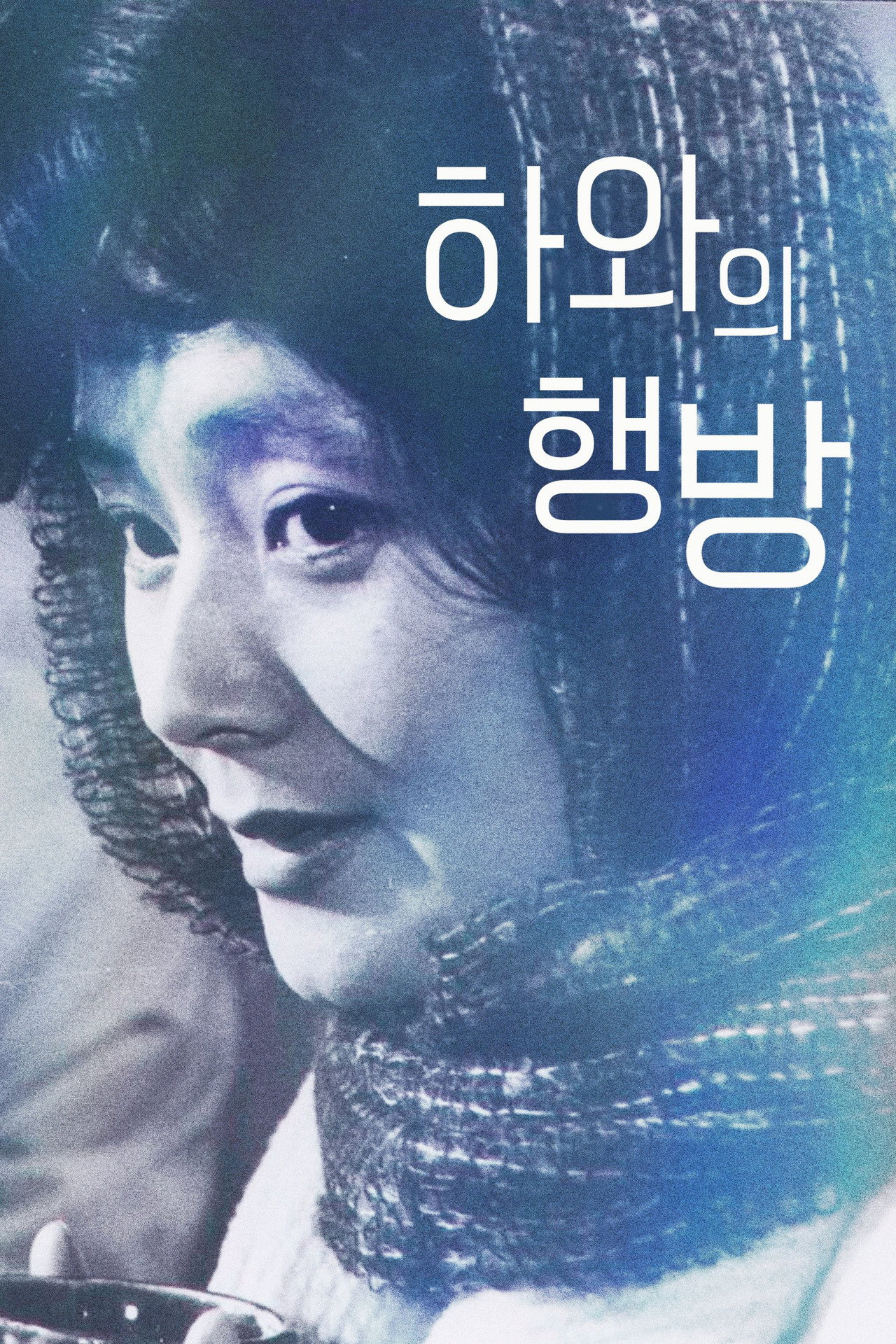 하와의 행방 filmaffisch