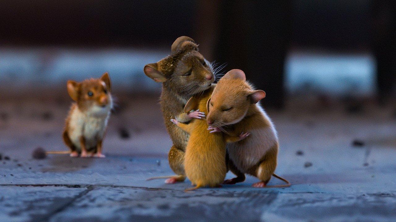 A Mouse Hunt for Christmas