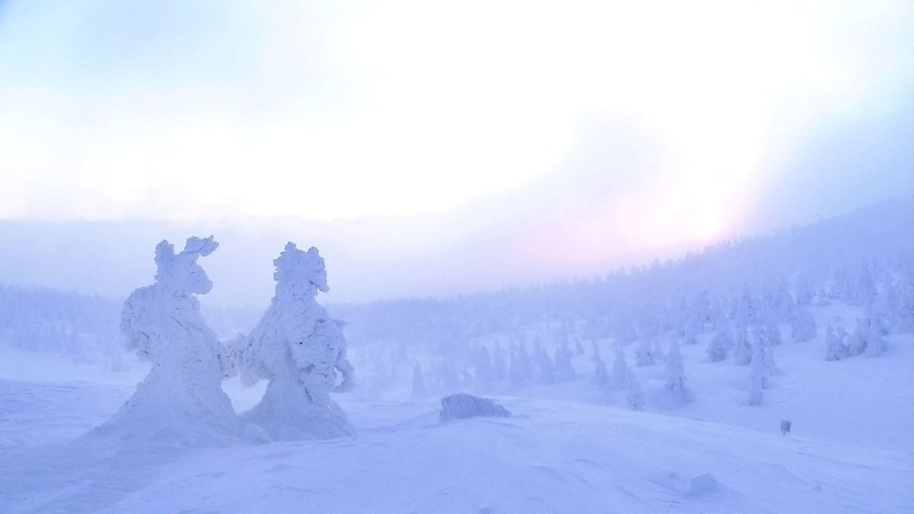 Ice Monsters: The Mountains of Zao